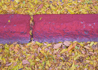 Autumn leaves against curb