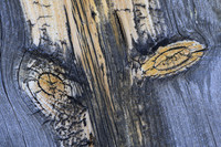 Gold King Mine Abstracts