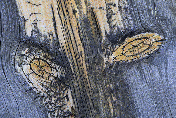 Wood Knots