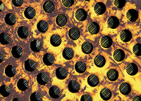 Rustic Abstract