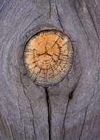 Wood Knot