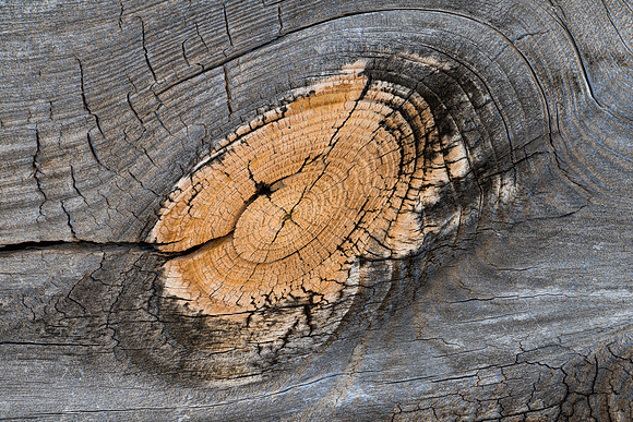 Wood Knot