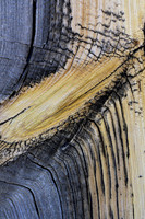Wood Knot