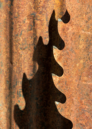 Saw Blade