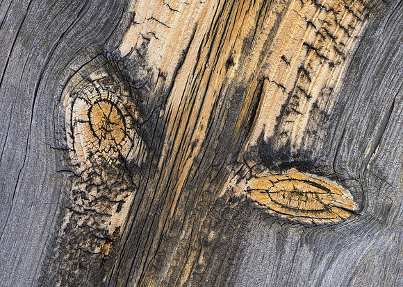 Wood Knots