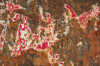 Gold King Mine
