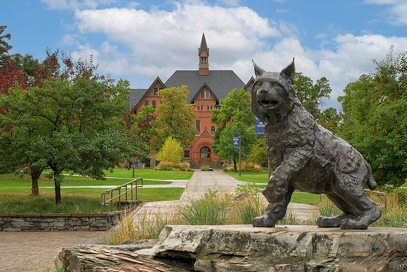 Bronze bobcat