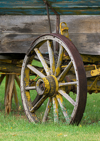 Wagon wheel