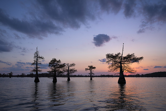 Sunset over Caddo Lake