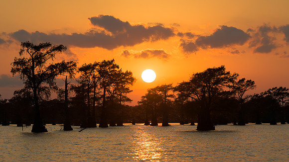 Sunset over Caddo Lake