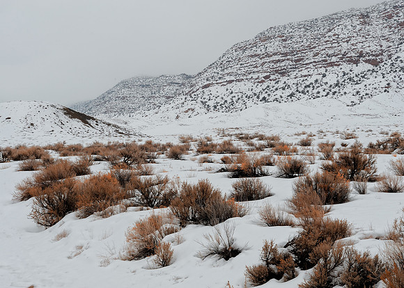 Snowy desert