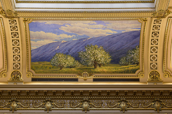 Orchards Along the Foothills