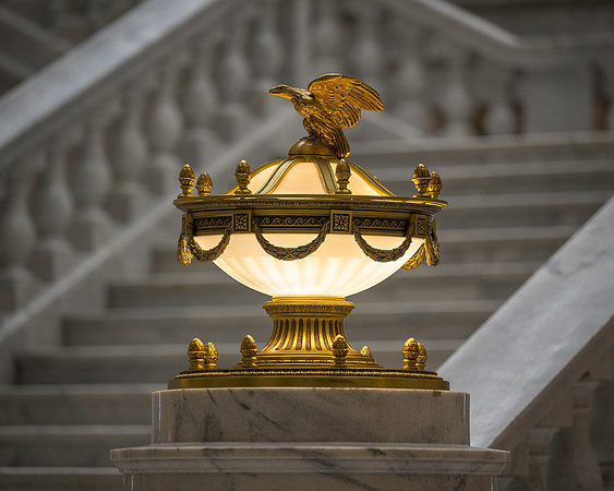 Eagle Light Fixture