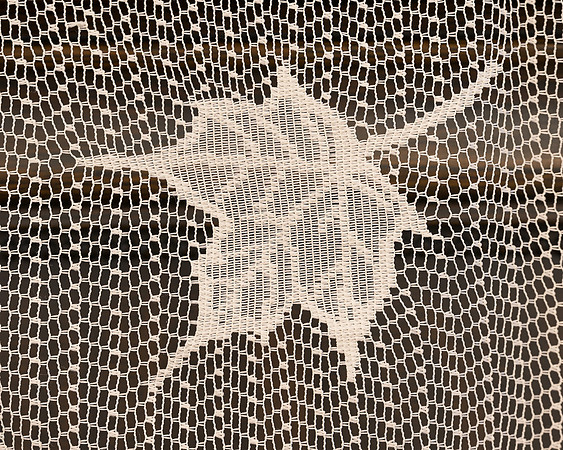 Lace Leaf