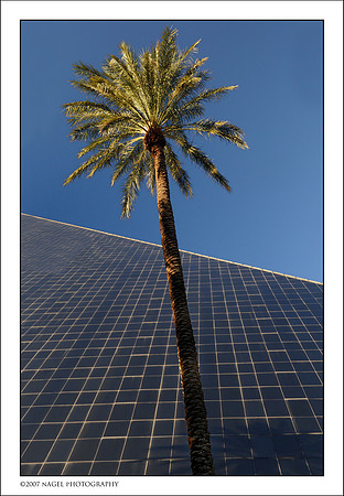 Palm pyramid
