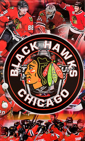 Chicago Blackhawks door