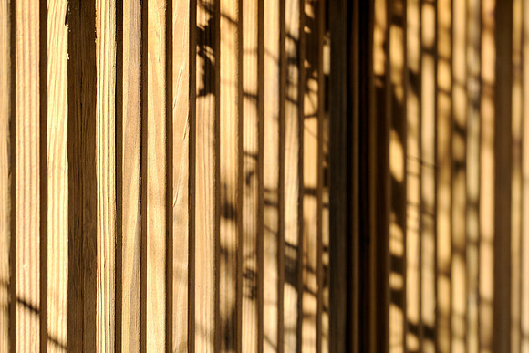Shadows on fence