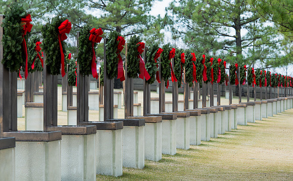 Field of empty chairs