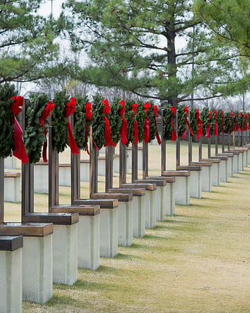 Field of empty chairs