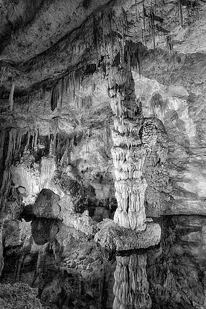 Devil's Spring (B&W version)