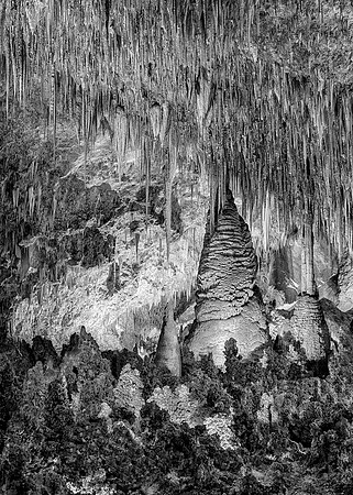 Fairyland (B&W version)