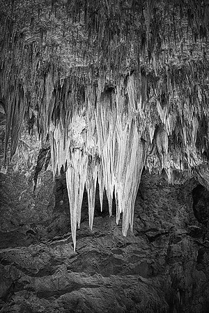 The Chandelier (B&W version)