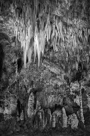 Chandelier over Totem Pole (B&W version)