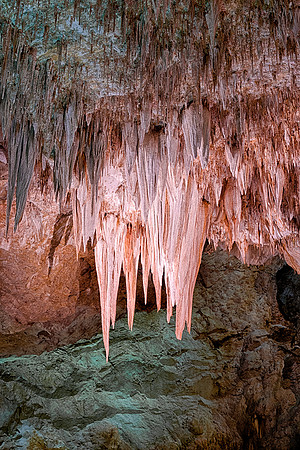 The Chandelier