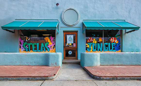 Stella's Jungle