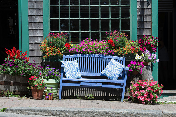 Purple bench