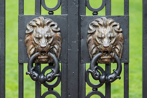 Lions at the gate