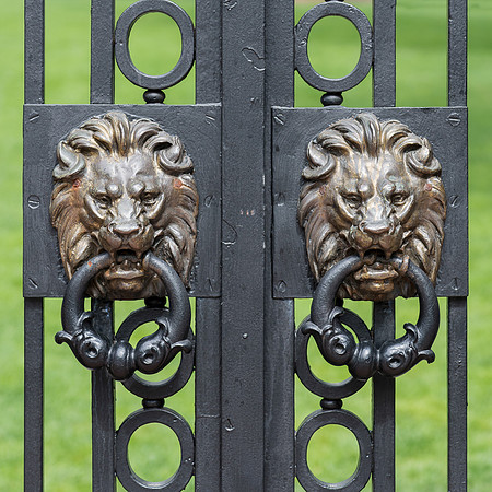 Lions at the gate