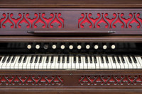 Organ
