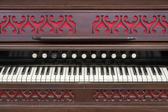 Organ