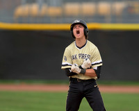 High School Varsity Baseball