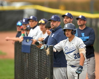 Reavis bench