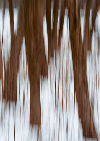 Winter forest abstract