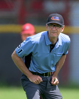 Base Umpire