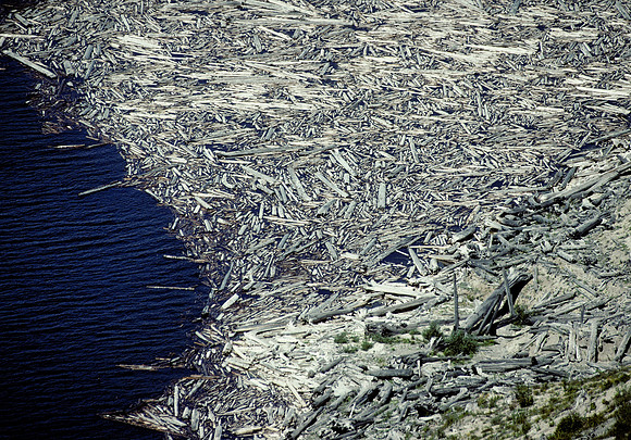 Spirit Lake logs