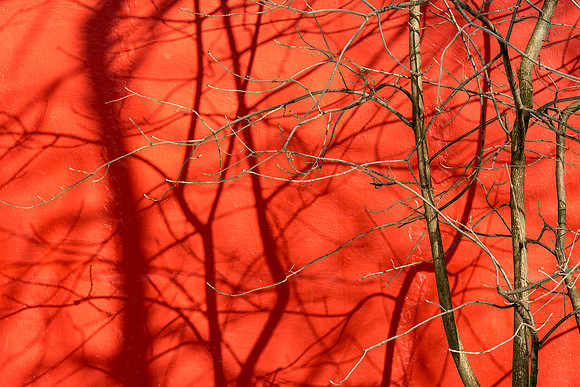 Shadows on red wall