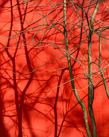 Shadows on red wall
