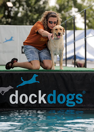 Dock dog