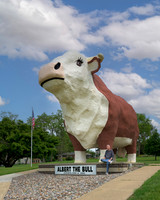 World's Largest Bull