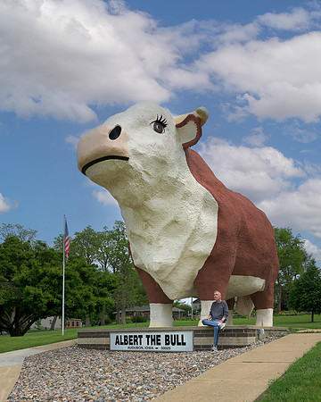 World's Largest Bull