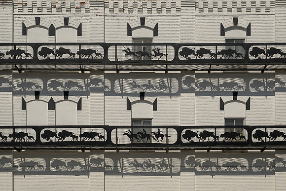 Buffalo Hunt Shadows