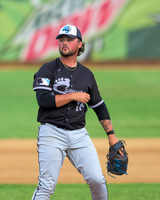 College Baseball