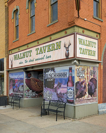 The Walnut Tavern