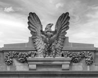 Eagle