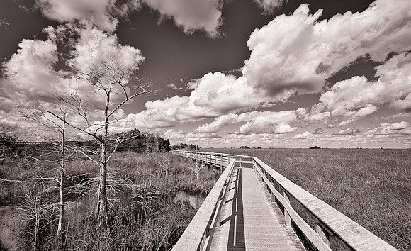 Boardwalk into the grasslands