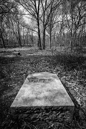 Bachelor's Grove Cemetery